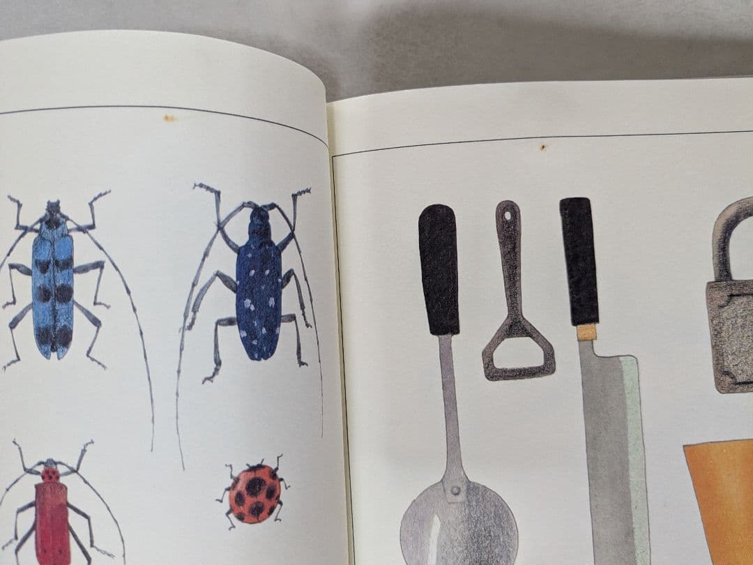 「こくごだいすき 」・「さんすうだいすき」・「はじめてであうすうがくの絵本」