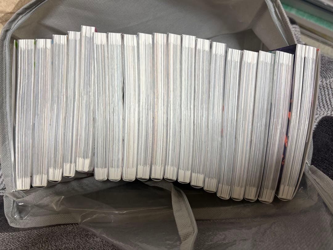 俺だけレベルアップな件1巻〜19巻