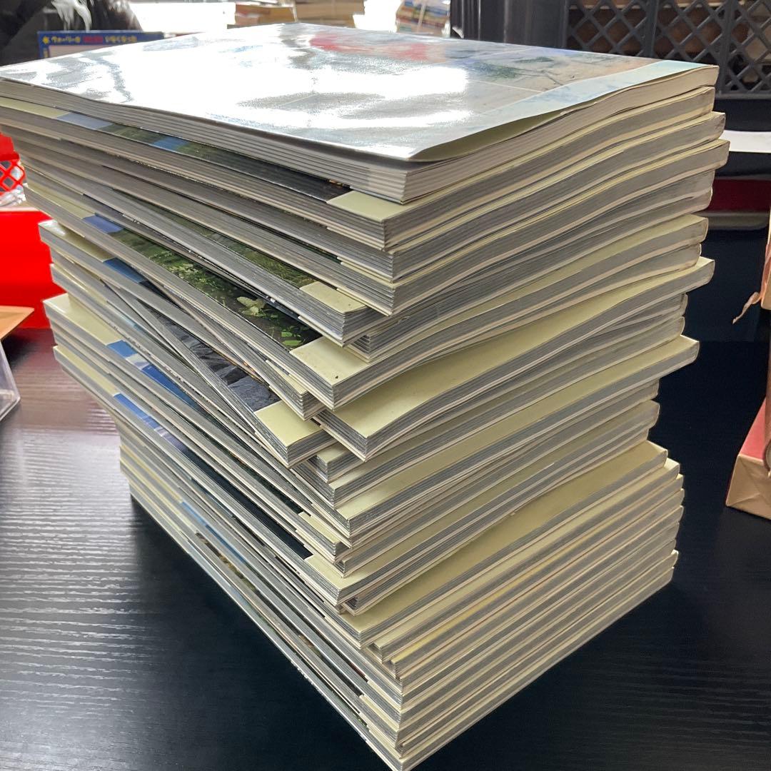 日本の名峰　29冊セット　岡田昇　山と渓谷社