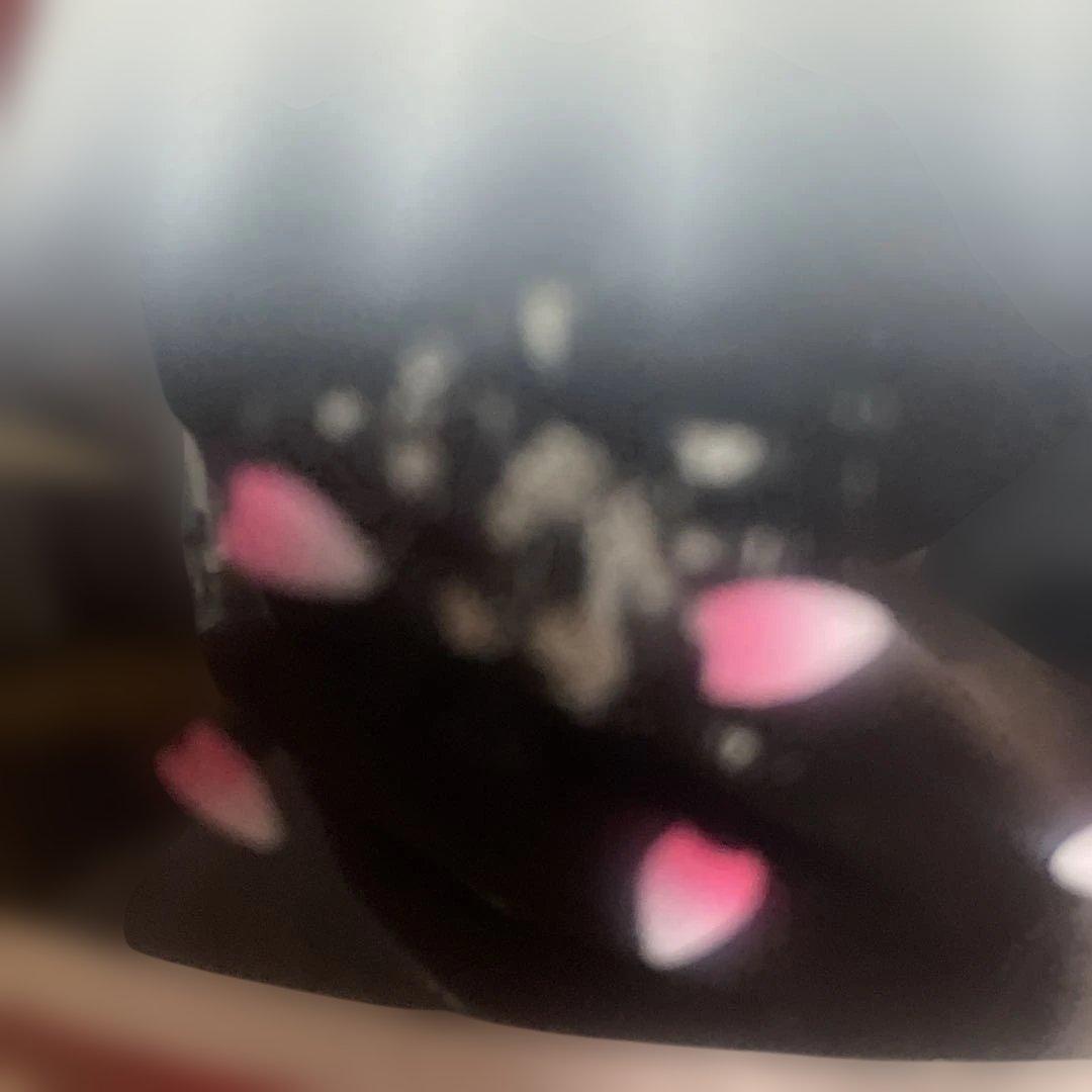 コルク半三つボタン　日章　ラメ