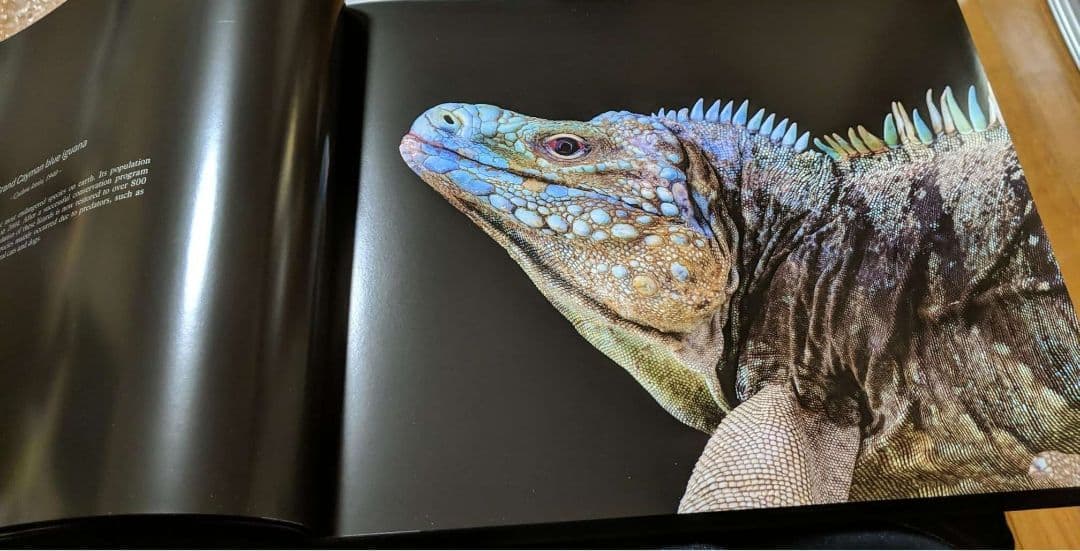 アート・デザイン・音楽 cold instinct