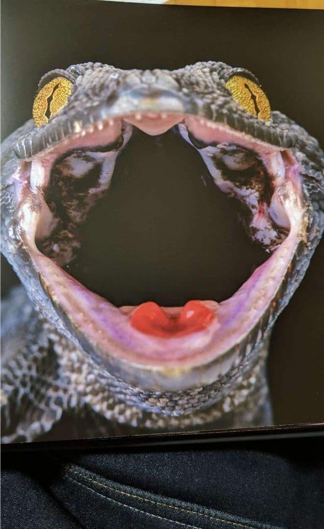 アート・デザイン・音楽 cold instinct