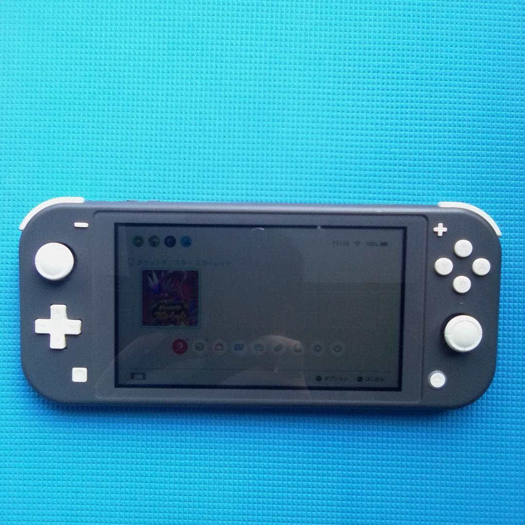 Nintendo Switch Lite グレー 本体　カバーと充電器付