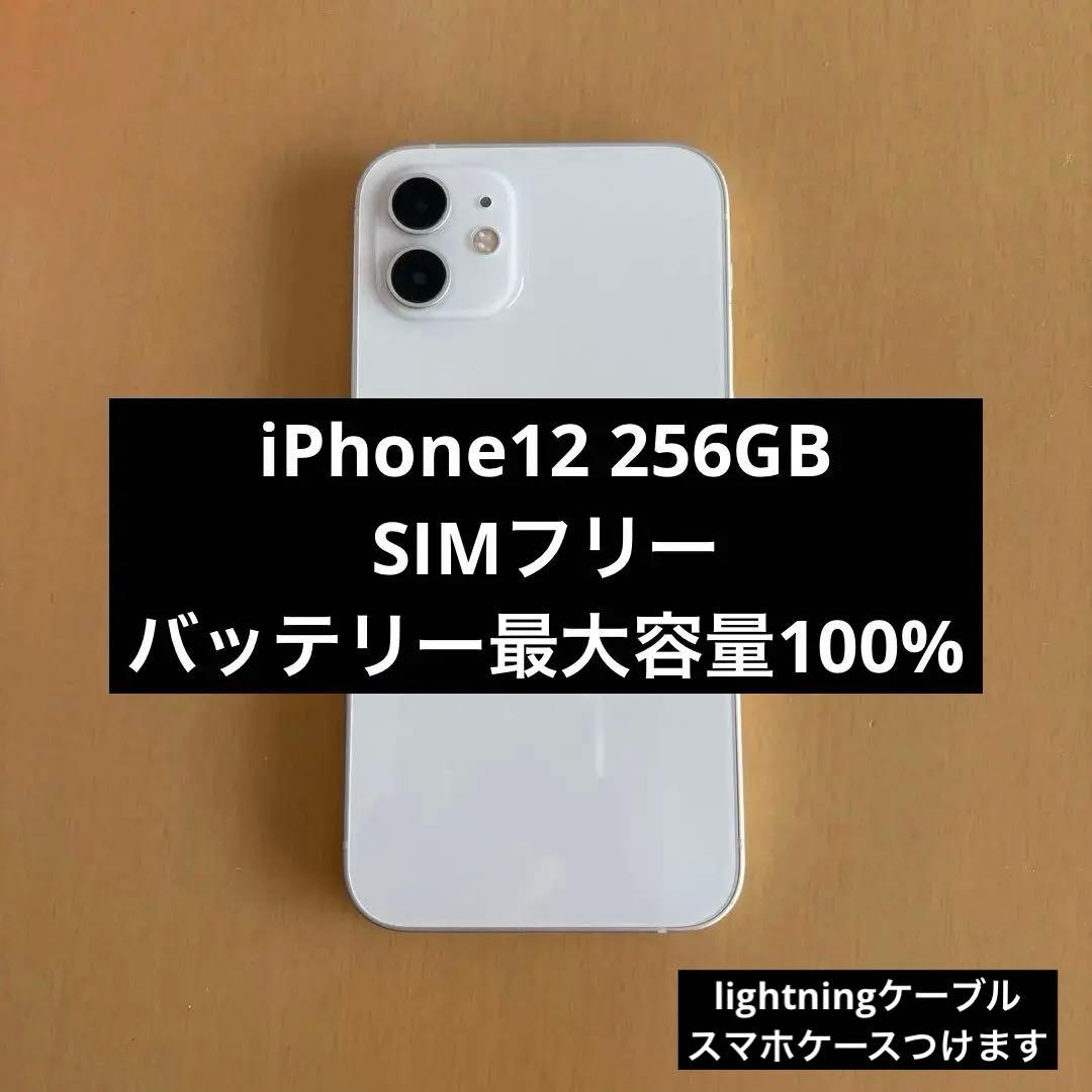 【バッテリー100%】iPhone12 256GB SIMフリー