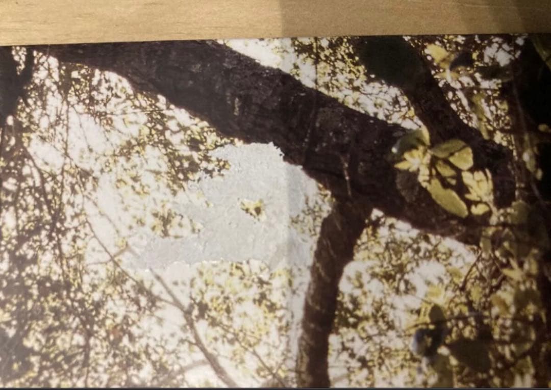 TRAVIS / THE INVISIBLE BAND LPレコード