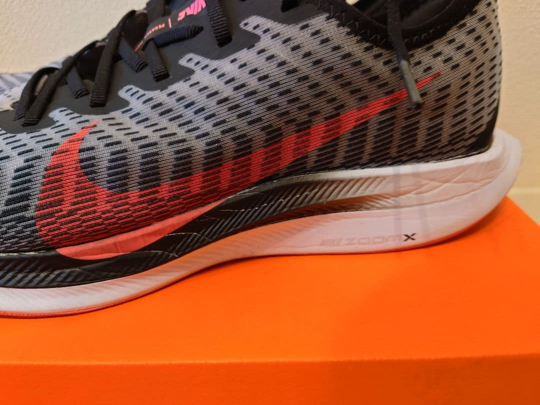 NIKE ナイキ pegasus tube2 27.5cm 中古