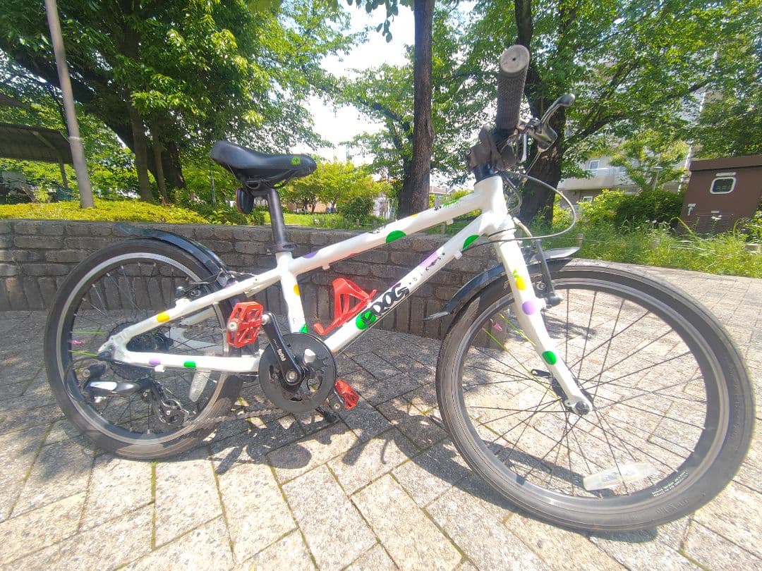 【希少品】フロッグバイク Frog 52 20インチ