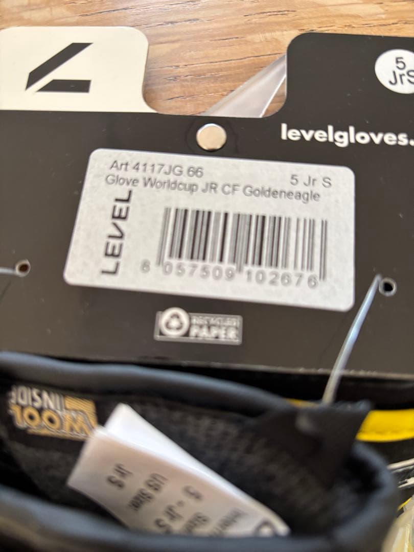 LEVEL スキーアルペングローブ Jr S