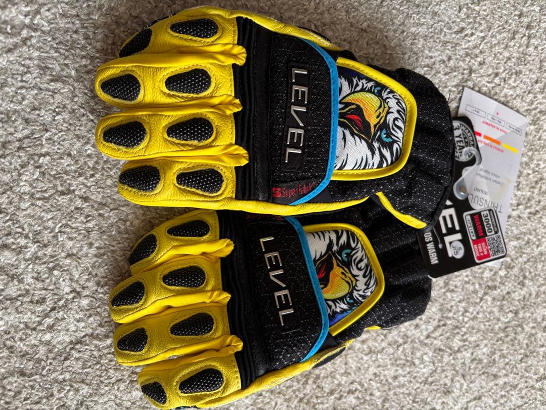 LEVEL スキーアルペングローブ Jr S