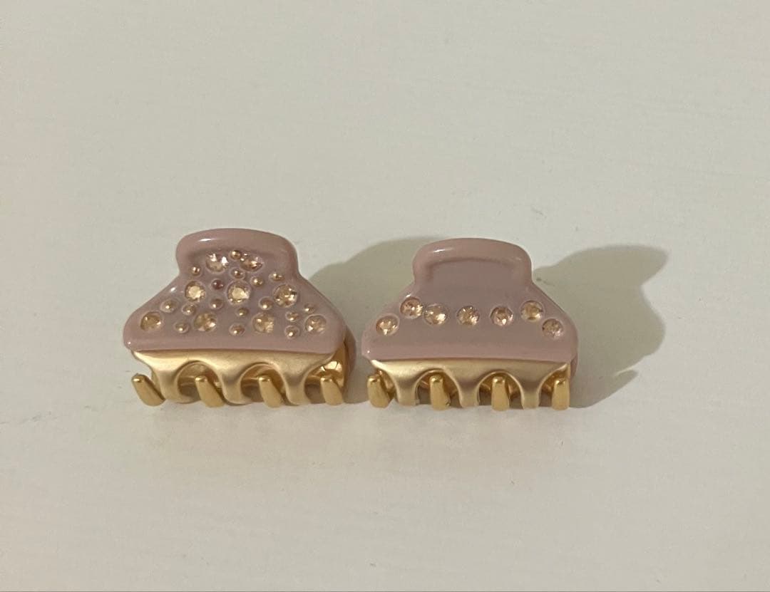 アレクサンドルドゥパリ　マイクロクリップ　2個セット　専用の袋つき