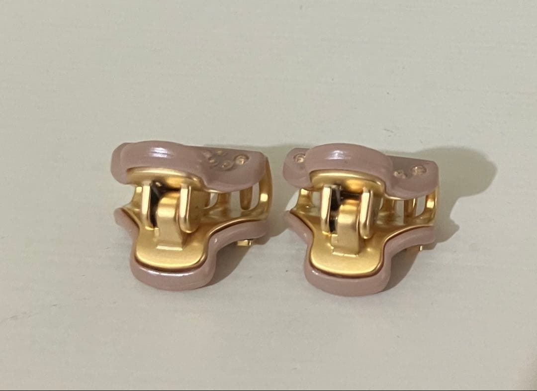 アレクサンドルドゥパリ　マイクロクリップ　2個セット　専用の袋つき