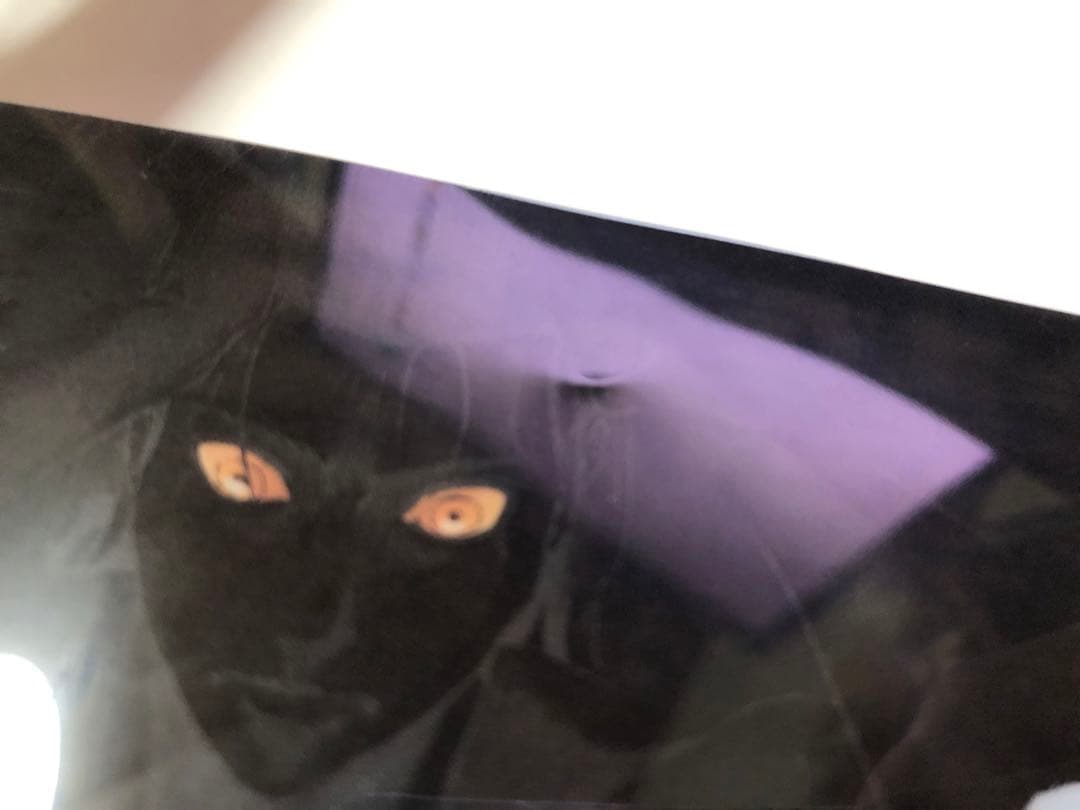 進撃の巨人 特製クリアカバー 7点セット