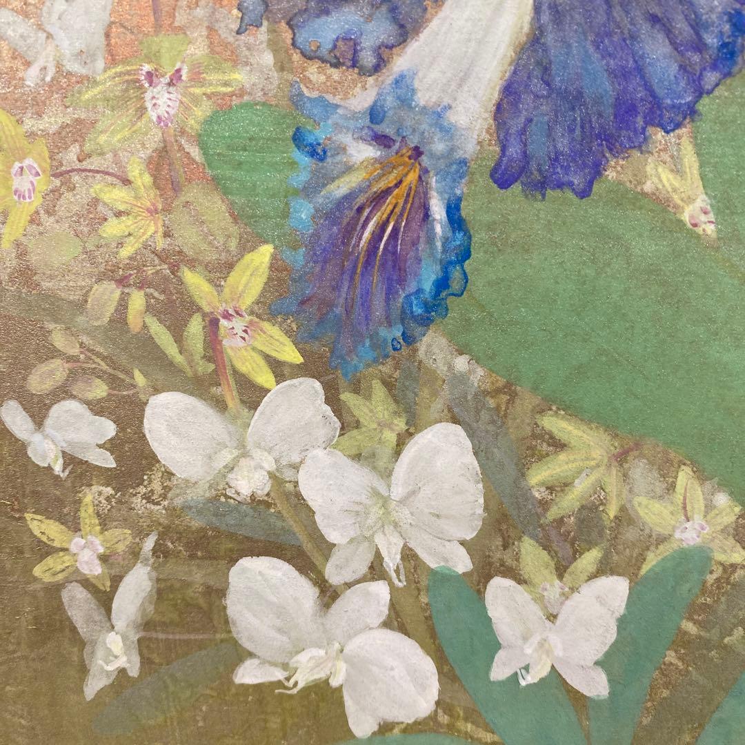 美品 掛け軸 鳥山玲作「華」菖蒲図 共箱 太巻き付 美術年鑑掲載