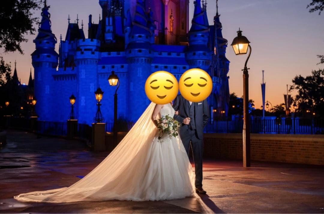 プロノビアス Pronovias ウェディングドレス Aライン vulcania