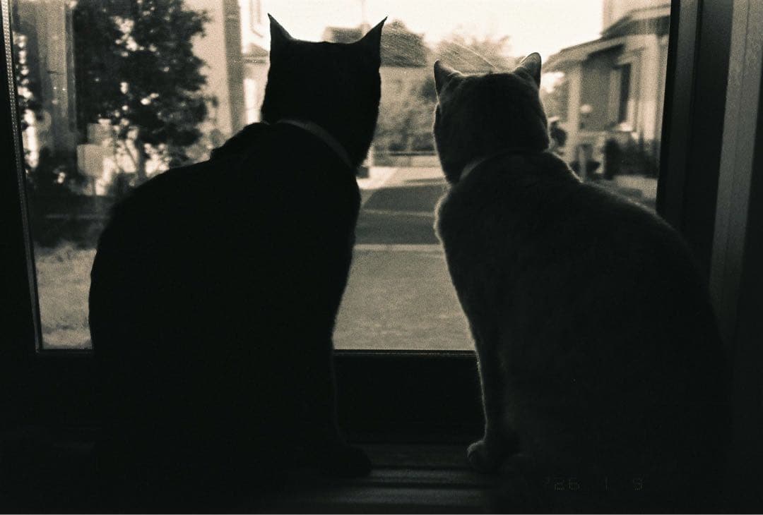 【作例あり】FUJIFILM NATURA CLASSICA ナチュラクラシカ