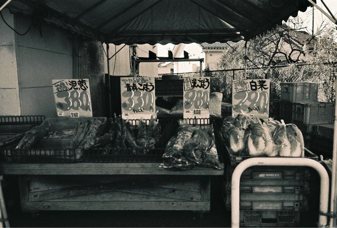 【作例あり】FUJIFILM NATURA CLASSICA ナチュラクラシカ