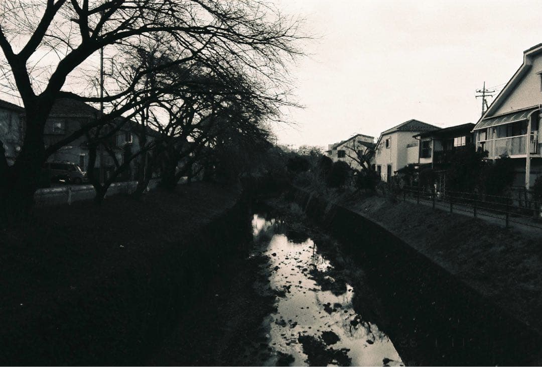 【作例あり】FUJIFILM NATURA CLASSICA ナチュラクラシカ