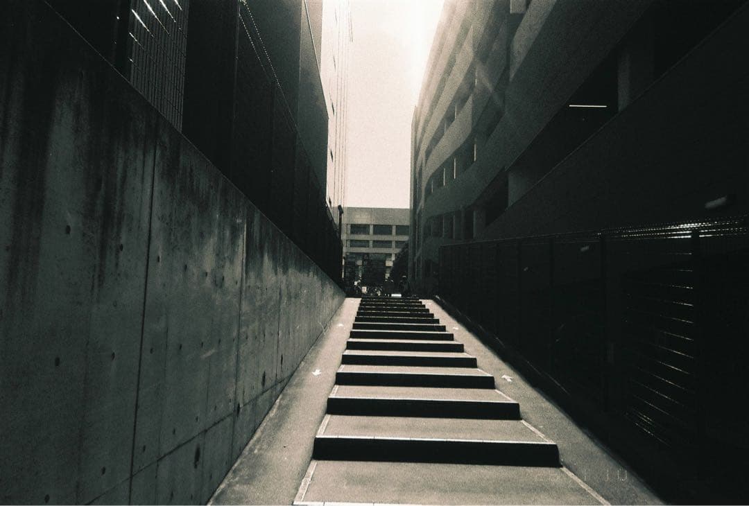 【作例あり】FUJIFILM NATURA CLASSICA ナチュラクラシカ