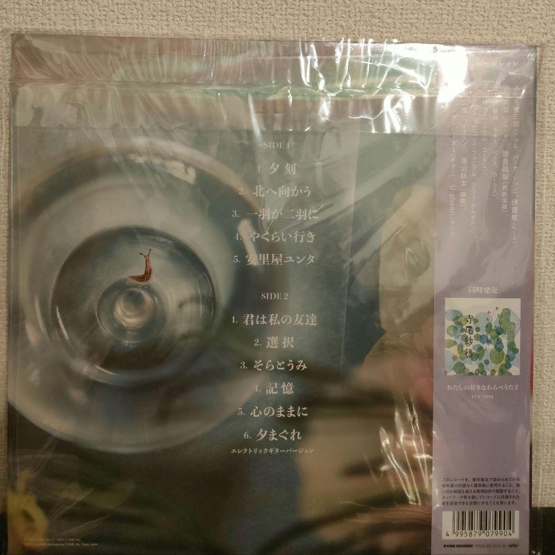 激レア!新品!寺尾紗穂『北へ向かう』レコード
