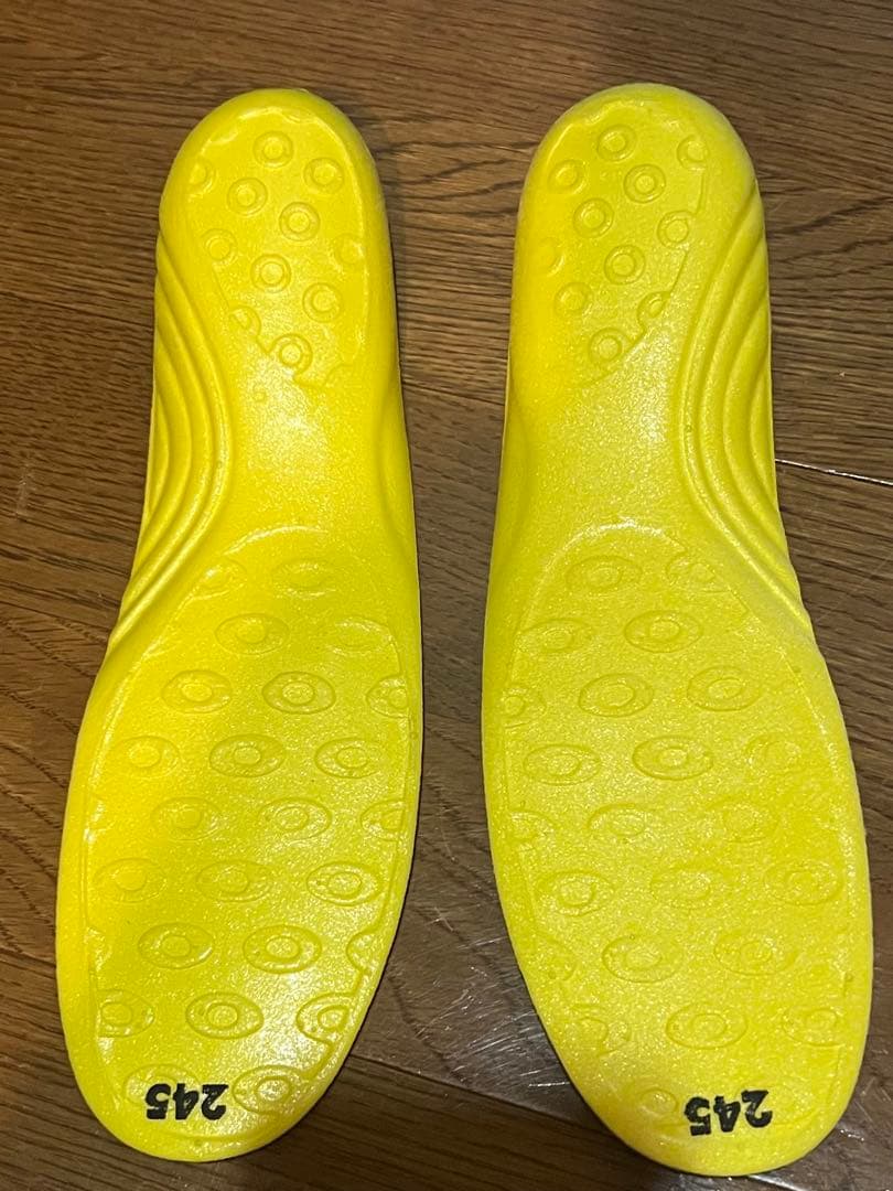 フィッシャーFISCHER スキーブーツ24.5cm 美品‼️