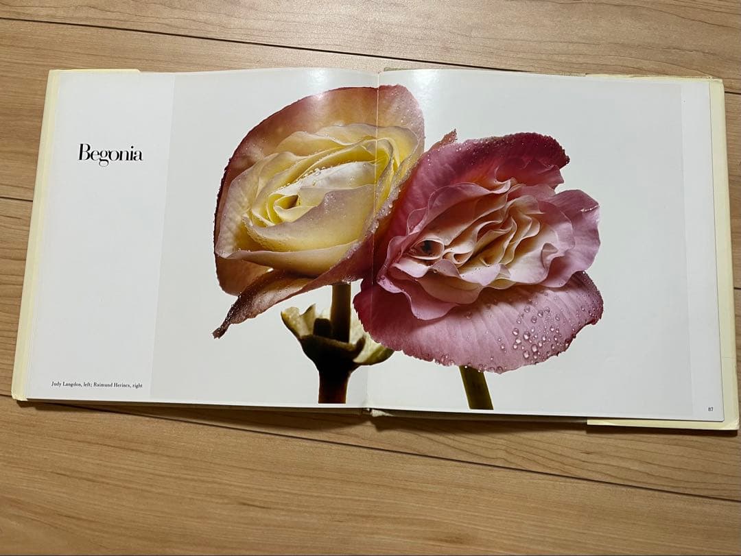 アート・デザイン・音楽 FLOWERS Irving Penn