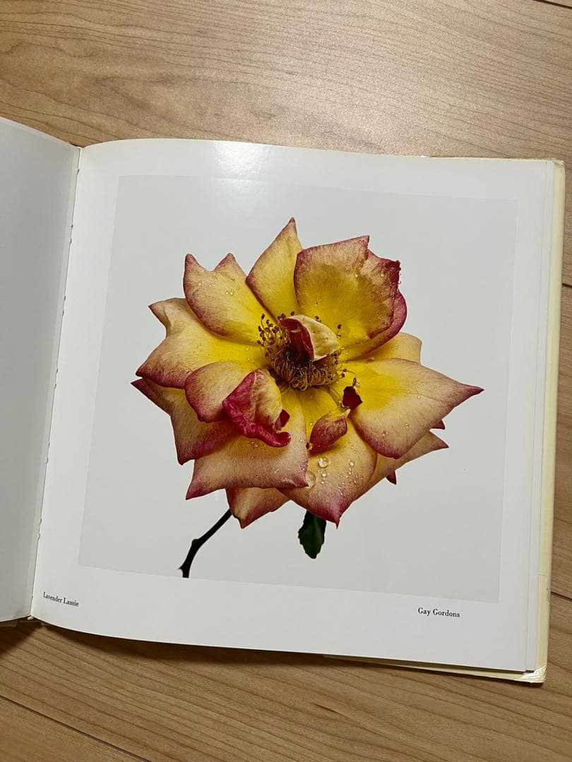 アート・デザイン・音楽 FLOWERS Irving Penn
