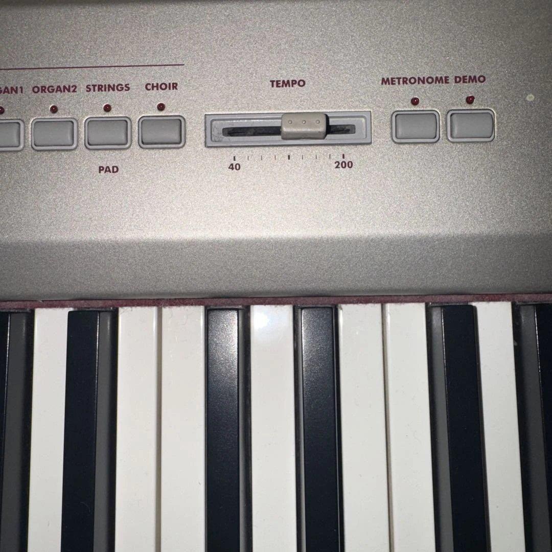 Yacchi 　KORG SP-200 鍵盤88 コルグ、電子ピアノ、