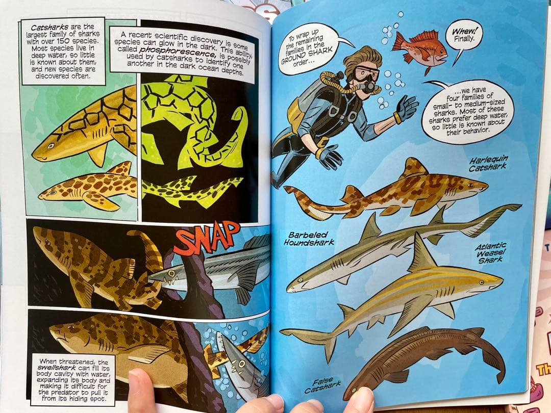 新品Science Comicsシリーズ31冊　洋書　英語絵本　漫画