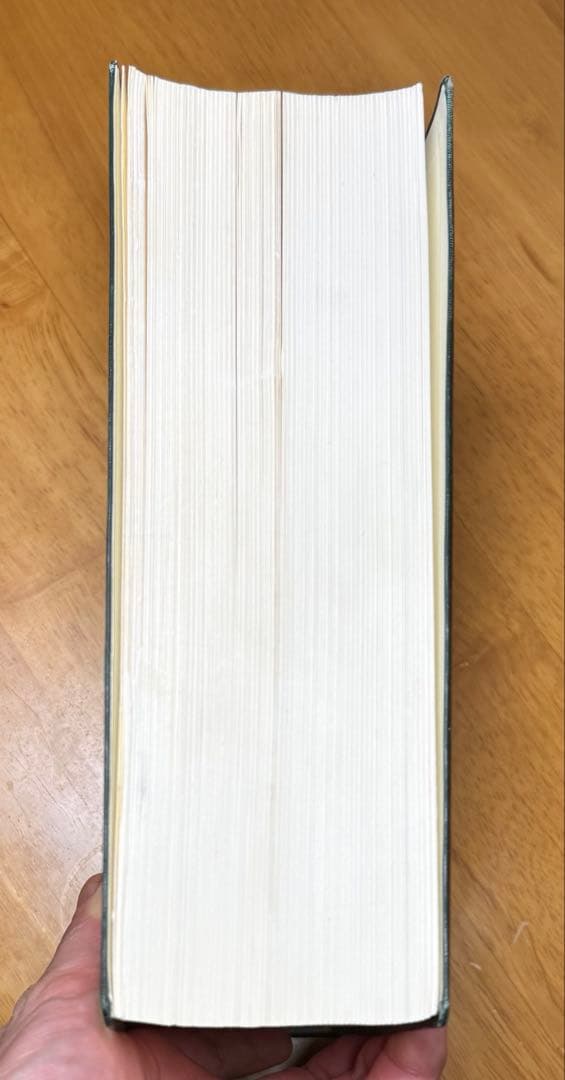 岩波 哲学・思想事典