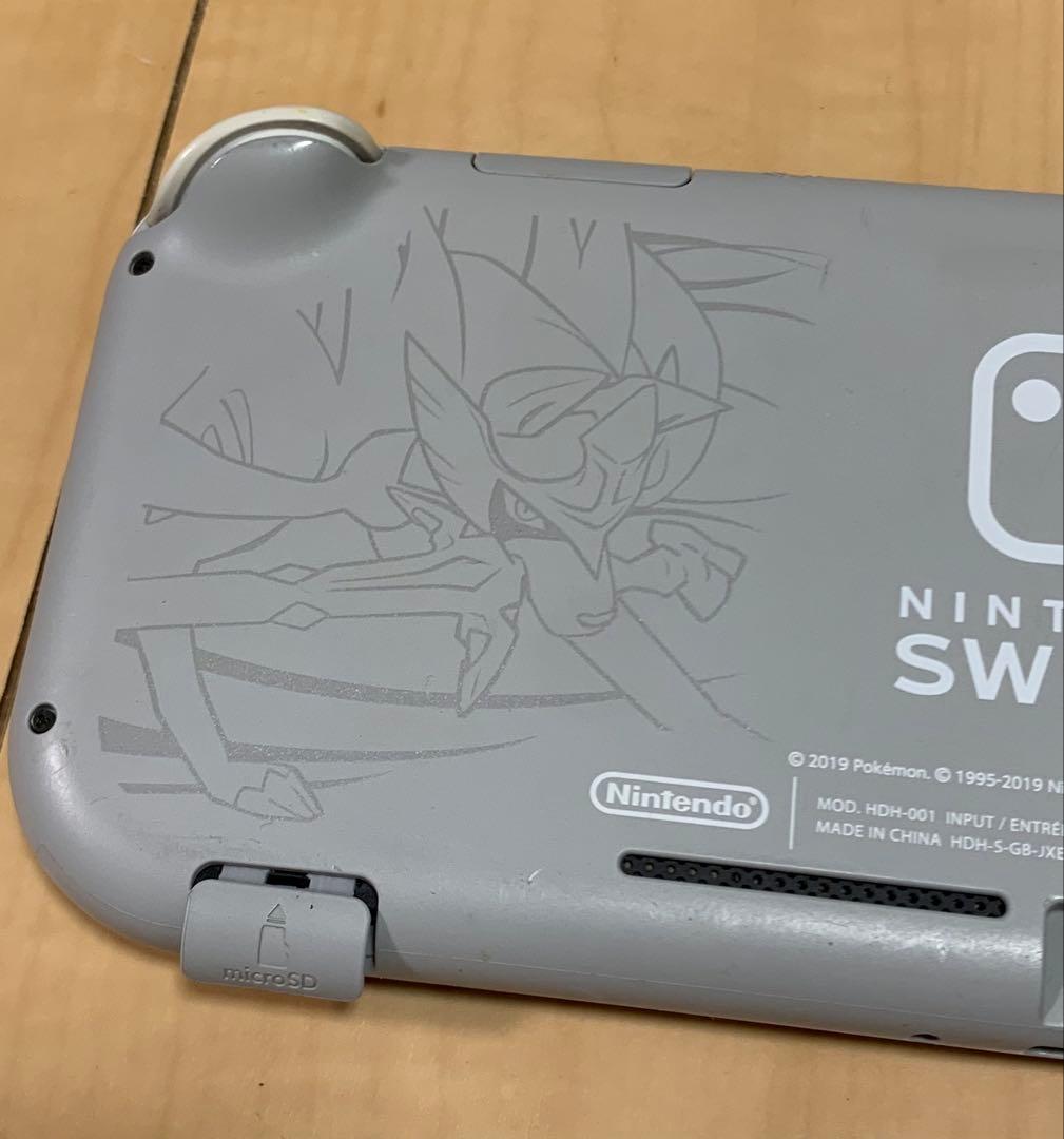 【ジャンク】Nintendo Switch Lite (商品説明必読)