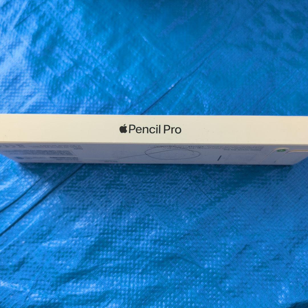 Apple Pencil Pro アップルペンシルプロ 鉛筆