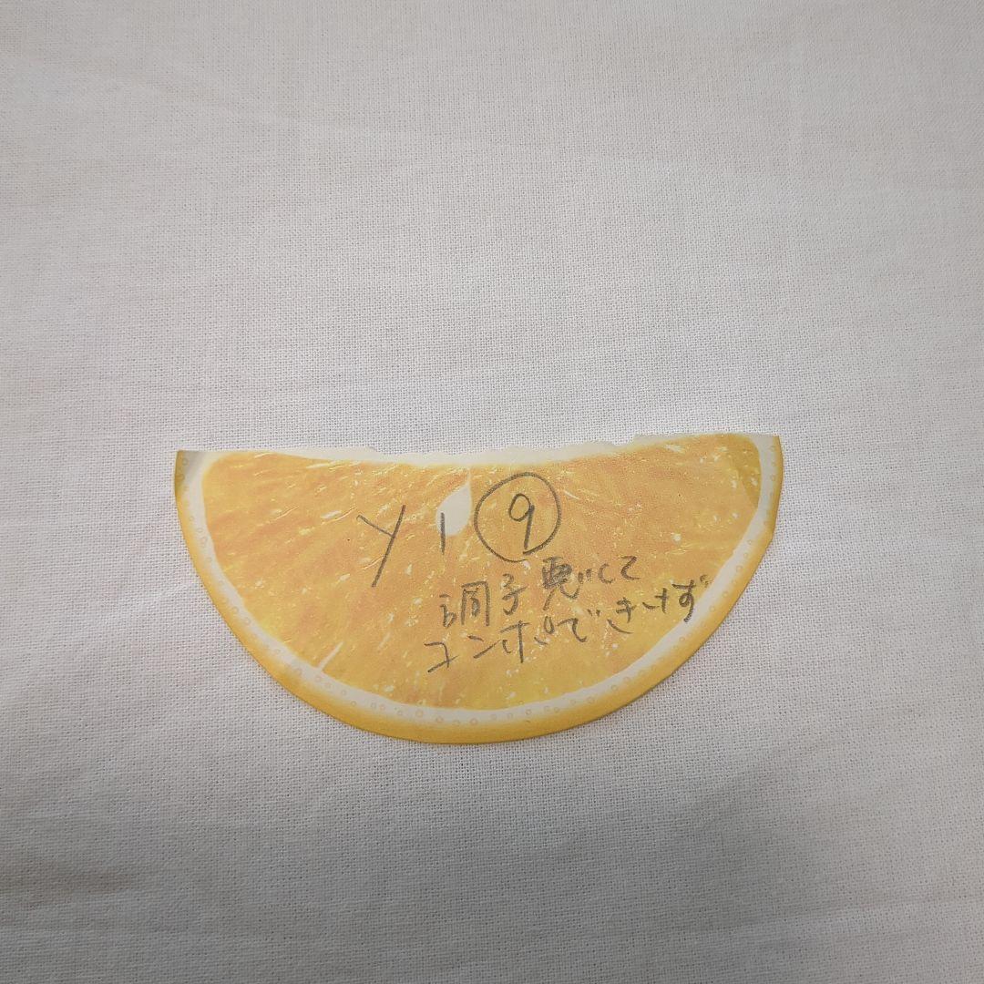 【パルキッズ Palkids Pre-schooler プリスクーラー英語教材】