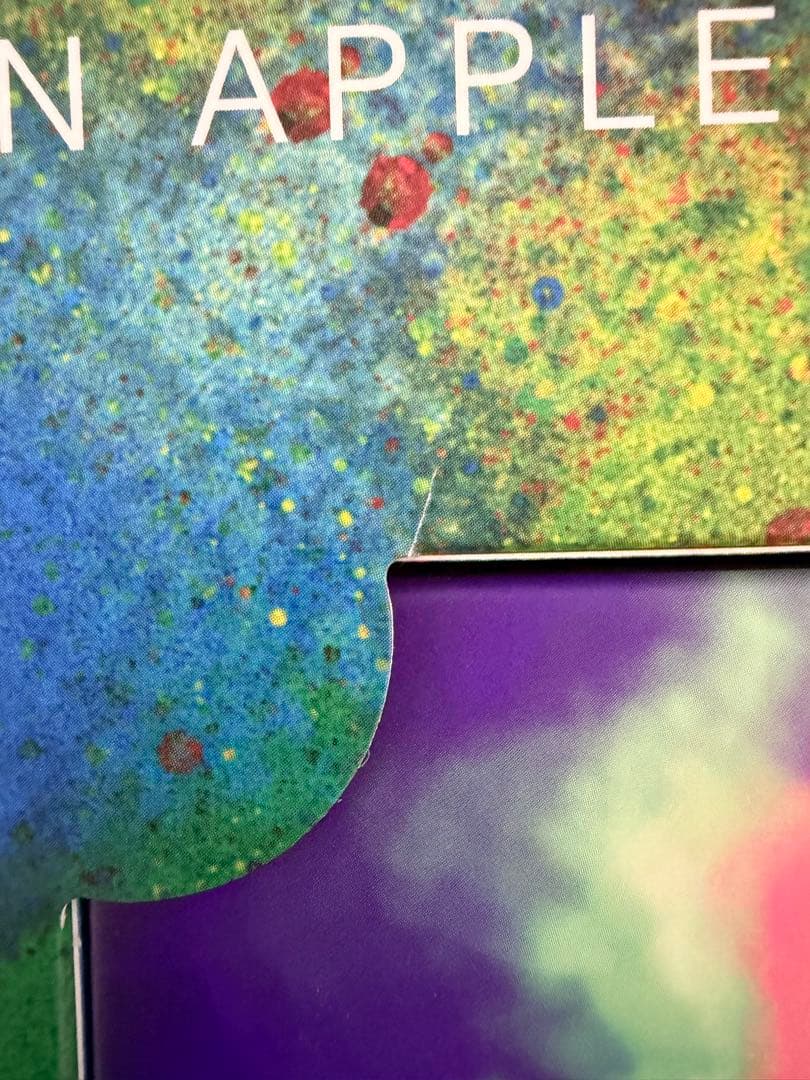 【Chocolate】 5 10 コンプリートボックスセット