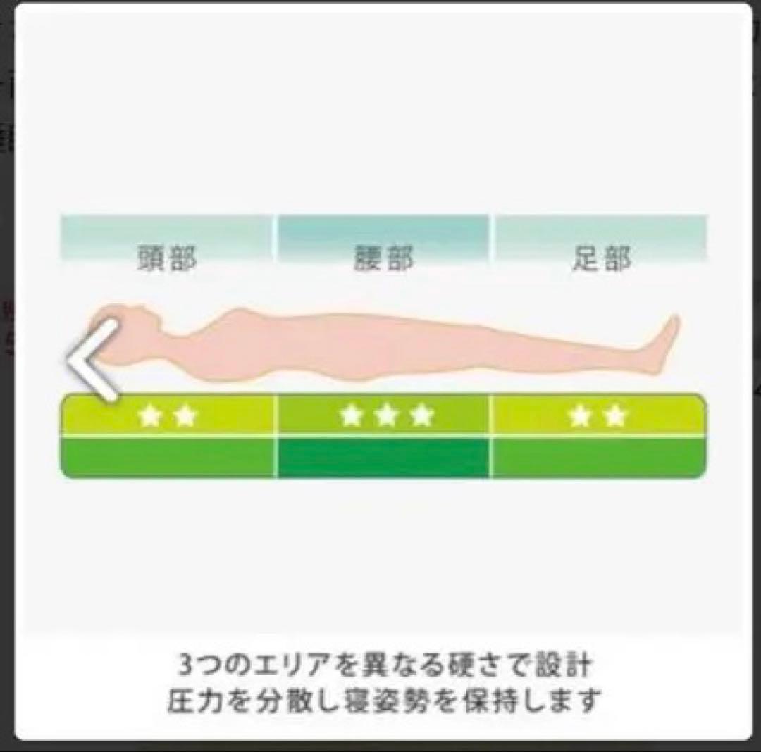 東京西川　きさらぎリーフ　スマートパッドタイプ