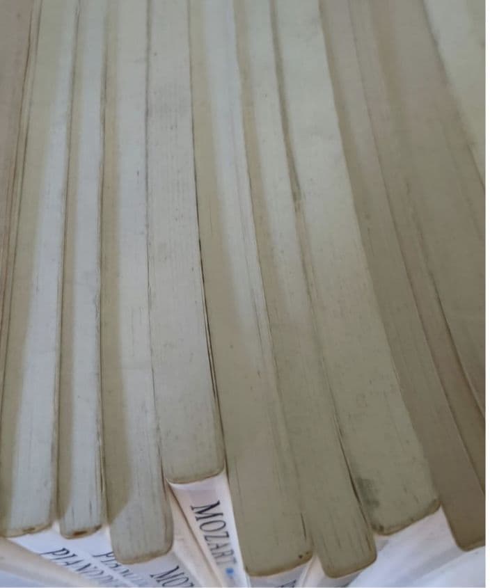 ピアノ学習指導体系 ThePIANIST /コンサート編