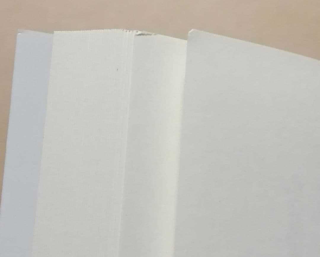 死神と少女 文庫 戯曲 ～黒薔薇姫～