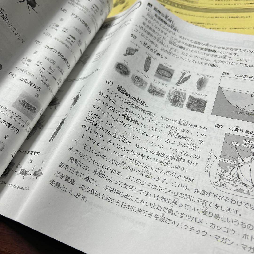 ㉓ AB サピックス　SAPIX 4年　理科　夏期講習　サマーサピックス
