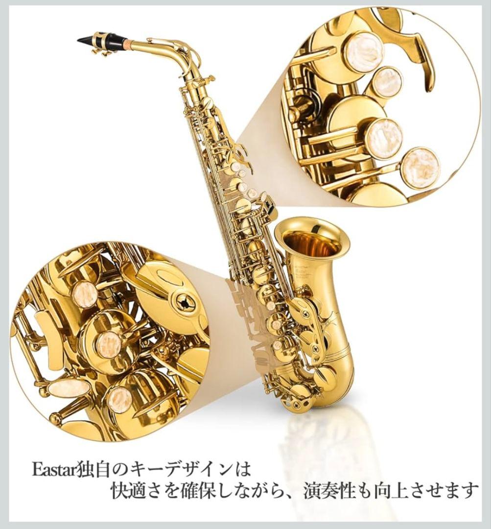 Easter アルトサックス ケース·お手入れ用品·スタンド付きセット