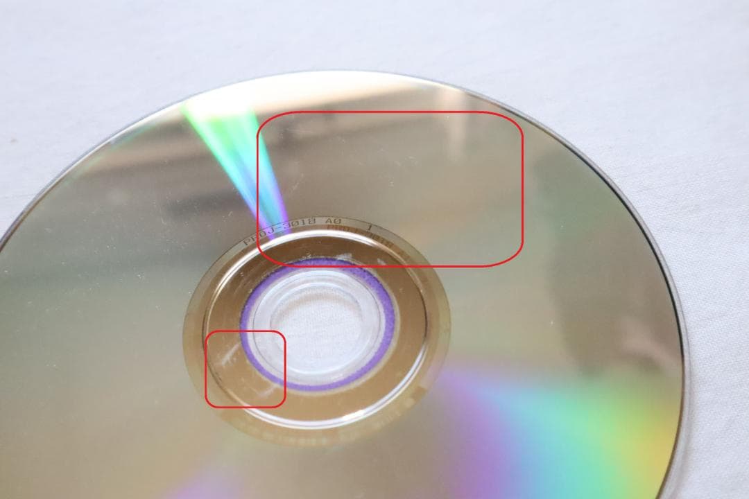 DVD スピッツ GO!GO!スカンジナビア 8 ゴースカ8 30周年