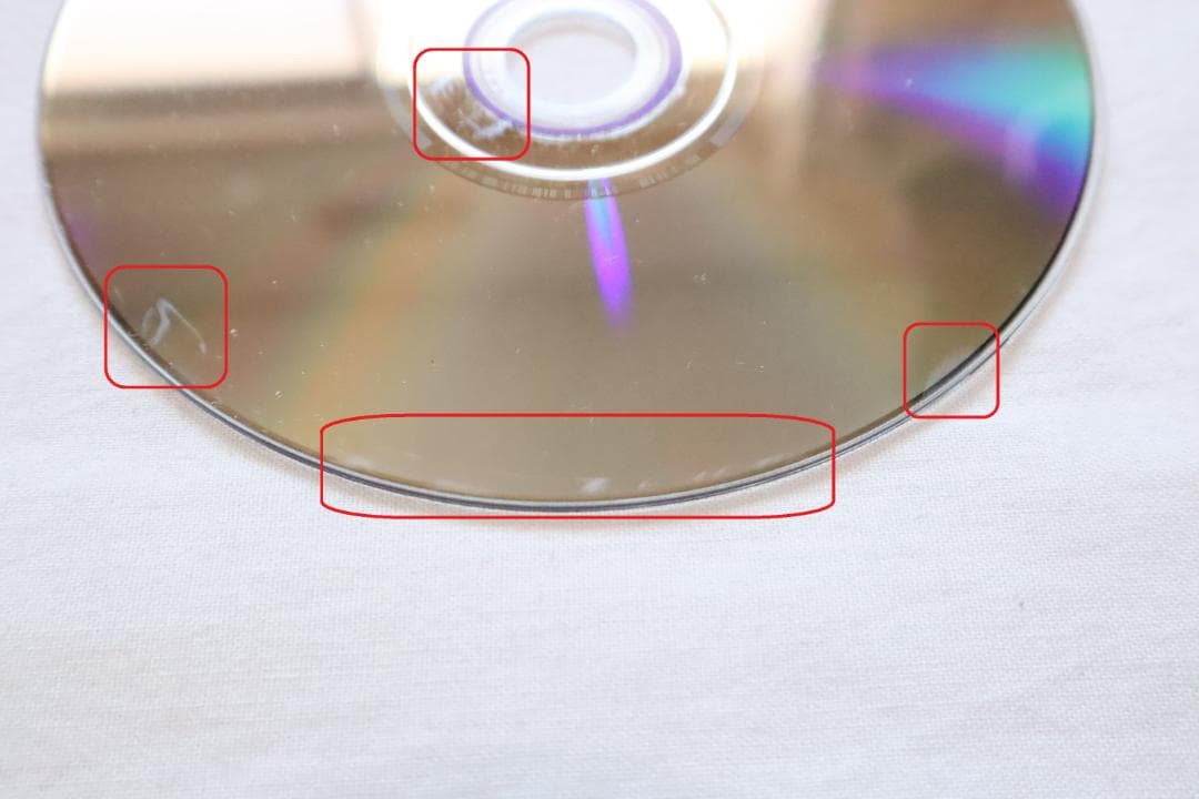 DVD スピッツ GO!GO!スカンジナビア 8 ゴースカ8 30周年