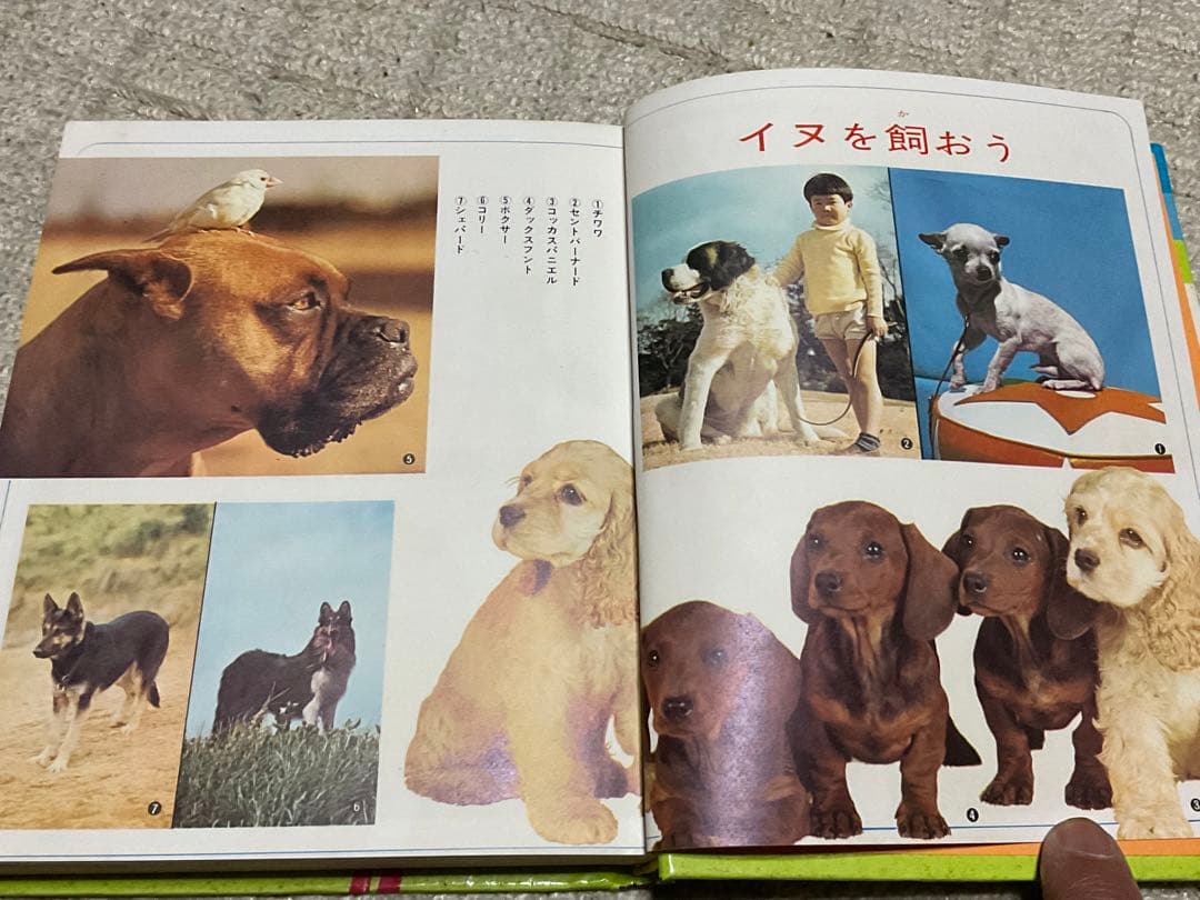 昭和47年3月10日第4刷発行／小学館入門百科シリーズ4。ペットの飼い方。