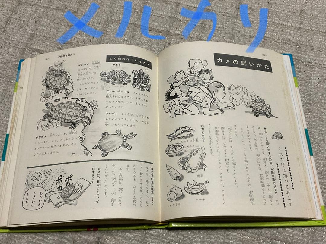 昭和47年3月10日第4刷発行／小学館入門百科シリーズ4。ペットの飼い方。