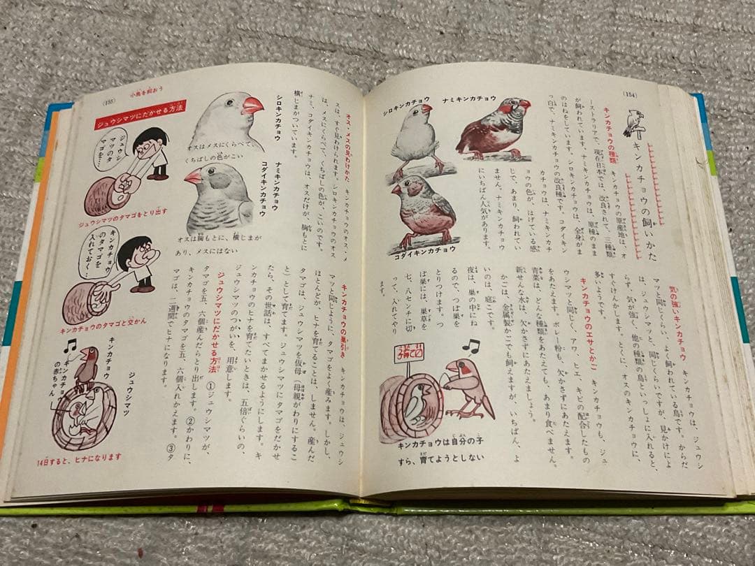 昭和47年3月10日第4刷発行／小学館入門百科シリーズ4。ペットの飼い方。