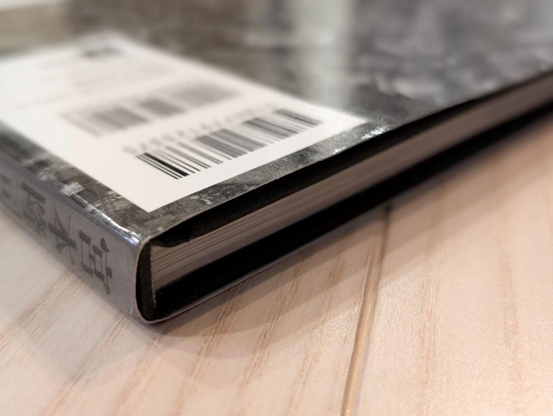 九龍城砦 宮本隆司