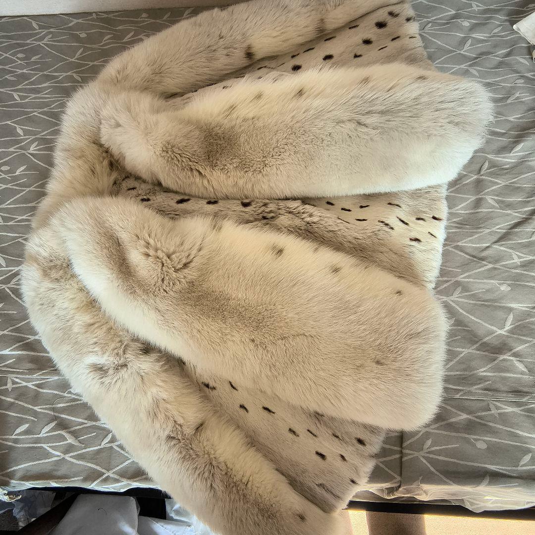 サガフォックス シャドーフォックス ハーフコート 金ラベル