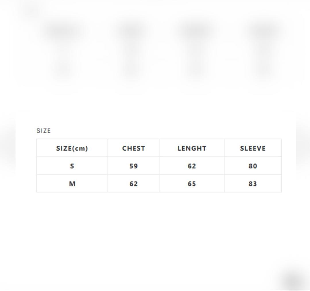 パンツ sansangear cotton wave pants 25aw gray