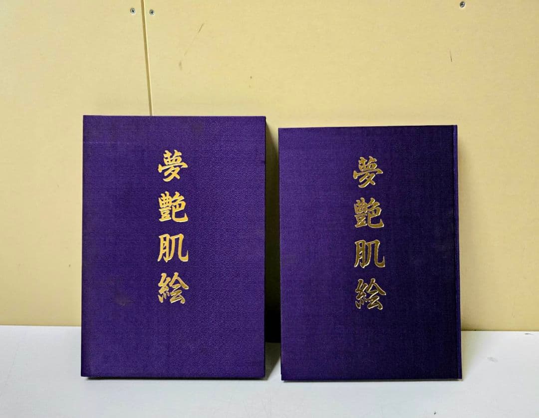 744 夢艶肌絵 入墨/刺青をした女性の写真集 竹書房