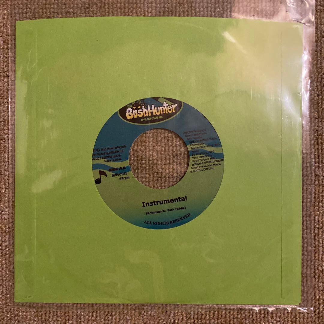 RSW 15th Ryo the Skywalker 7inch レコードセット