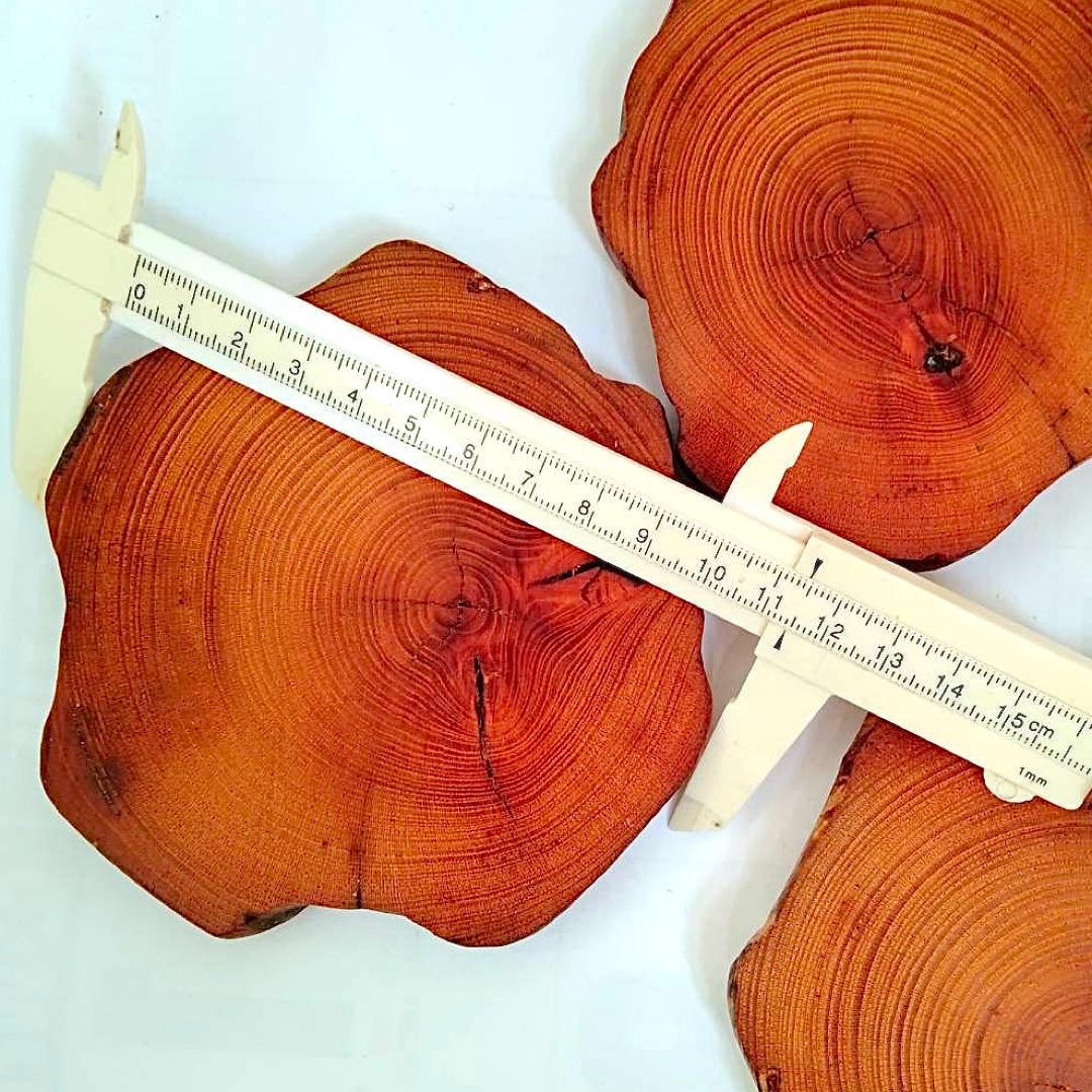 Borders様 リクエスト 5点 まとめ商品　輪切り　切り株　丸太　台座　花台