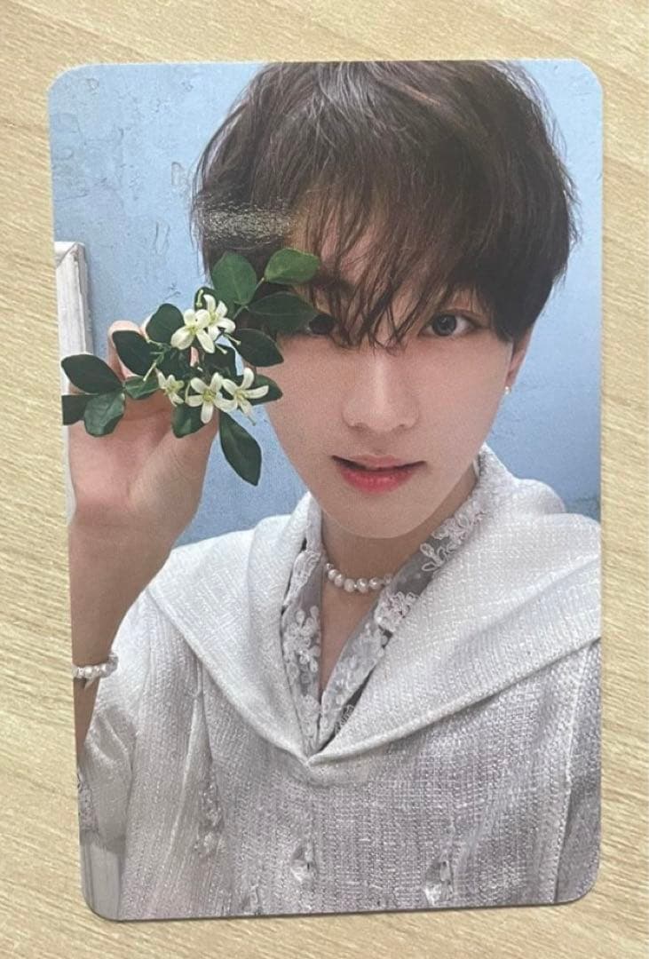 Enhypen エナプ　ジョンウォン   サノク トレカ